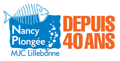 Logo 40 ans
