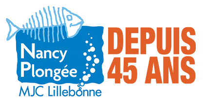 Logo 45 ans